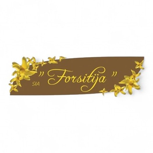 Forsitija